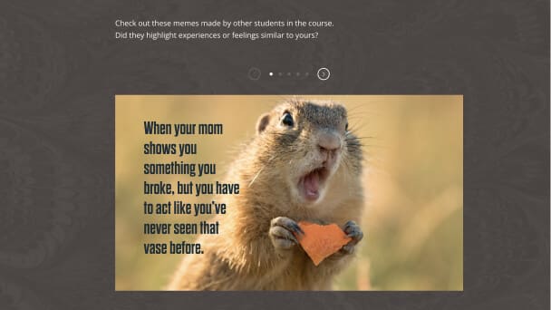 Screenshot of course lesson with a funny squirrel image